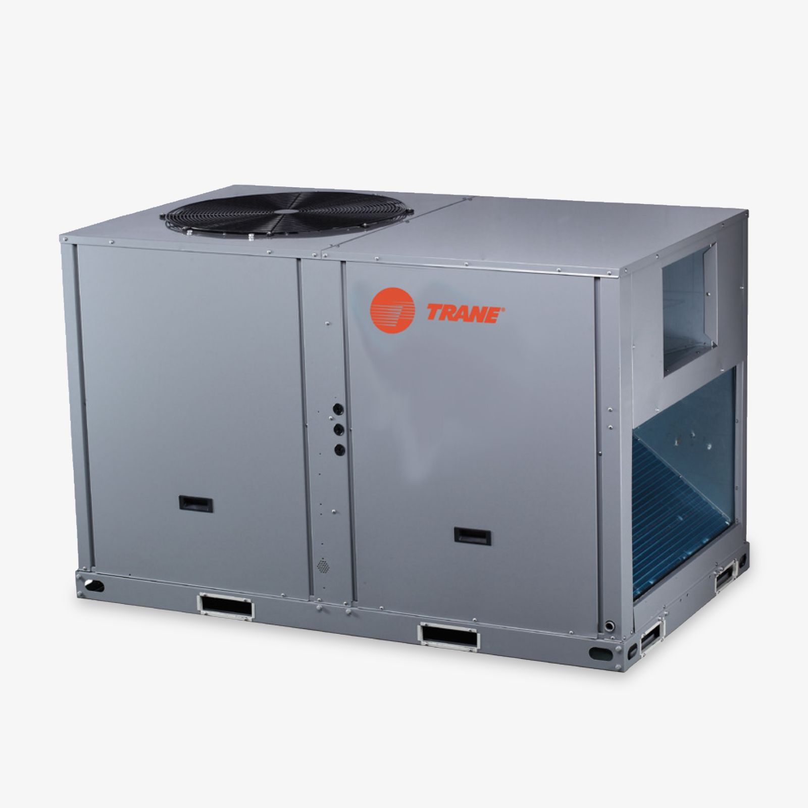 WhatsApp Image 2025-11-20 at 10.24.41_2b155898